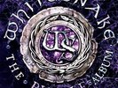 Whitesnake - Purple Album [Vinyl New]