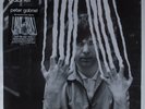 PETER GABRIEL Self Titled REALWORLD PGLPR2X 2XLP 45rpm 180g audiophile SEALED   