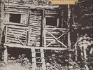 Bronco Country Home PINK ISLAND UK NEAR MINT Island Vinyl LP