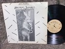 NM SAM PHIPPS “Animal Sounds” LP 1981 Oingo Boingo Dream Private Press Free Jazz