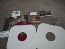 LA DISPUTE - WIldlife, Limited 2LP COLORED VINYL Gatefold 500 Dark Red / Clear