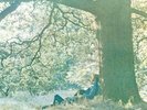 PLASTIC ONO BAND