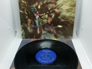 CREEDENCE CLEARWATER REVIVAL  