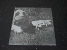 Pink Floyd The Best Of Tour '72 Live LP Vinyl Record 16-421/2 1973 Ex+