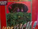 THE GROWLERS 'Not Psych 
