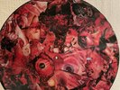 Carcass-Symphonies of sickness Picture Vinyl