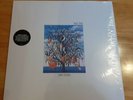 talk talk spirit of eden Vinyl Album