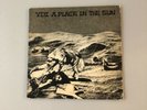 YDI A Place In The Sun w/Insert USHC Punk SE KBD 7