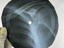 WHO BARBARA ANN X-Ray USSR Record Roentgen Ribs Bones Music Vinyl