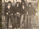 Ramones Debut Album (Reissue) Sire Records Vinyl LP SASD-7520 - M