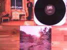 Brandon Flowers - Flamingo Vinyl LP 2010 Original