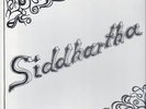 Siddharta Weltschmerz HQ-VINYL LIMITED NEW OVP Garden Of Delight Vinyl LP