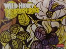 The Beach Boys - Wild Honey / Friends (LP, Album + LP, Album + Comp)