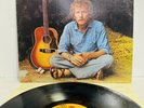 Gordon Lightfoot - Sundown - Vinyl LP Record Reprise MS 2177 VG/VG+