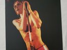 Iggy And The Stooges - Raw Power LP - 2010 US Columbia - LP 5269