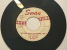 45 Record - The Beatles - Sie Liebt Dich / I’ll Get You