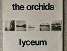 The Orchids Lyceum 10
