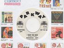 Roddie Joy I Want You Back Parkway Demo P151 Soul Northern Motown