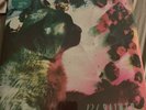 Pale Saints - The Comforts Of Madness (30th Anniversary Remas (NEW 12