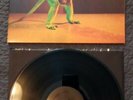 GRINDERMAN (NICK CAVE) -Grinderman 2007 Vinyl LP Gatefold GARAGE INDIE ROCK
