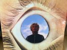 Robert Pollard - Silverfish Trivia Vinyl LP Guided By Voices oop gbv