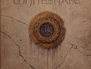 5 Classic rock vinyl LPs, Whitesnake,Def Leppard,Rainbow Nazareth,Hawkwind...