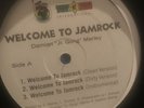 Rare Damian Marley Welcome To Jamrock b/w Lyrical .44 Vinyl 12” Record Promo