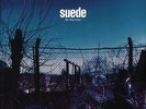 SEALED NEW LP Suede - The Blue Hour