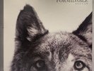The Joy Formidable “Wolf’s Law” Rare Box Set Atlantic 533001-1 With Inserts