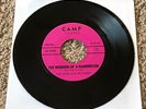 I'm So Wet / The Weekend Of A Hairdresser 7” 45 PROMO Camp Records NM