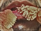 Toro Y Moi ‎– Underneath The Pine : Carpark ‎– CAK59 SEALED VINYL LP LEFTFIELD