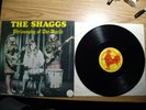 The Shaggs Philosophy of the World  rock  vinyl
