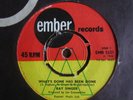 RAY SINGER - WHAT'S DONE HAS BEEN DONE WON'T IT BE FINE 1966 RARE EMBER MOD/BEAT