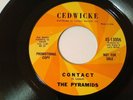 The Pyramids ‎– Contact / Pressure [ 45rpm 7'' Promo , Rare Surf
