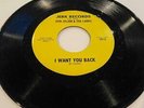 Don Julian & The Larks - I Want You Back/The Jerk * Jerk 204 Sweet Soul 45 Rare