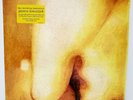 Smashing Pumpkins Pisces Iscariot 2x Vinyl LP Album REMASTERED 180G w/ Landslide