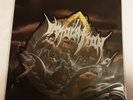 Immolation I Feel Nothing Shaped Picture Disc Vinyl Record new Church of Vinyl
