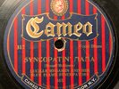 78 RPM LUCILLE HEGAMIN Syncopatin' Mama / Your Man-My Man CAMEO 317