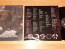 LP RAGE Unity / FOC & OIS / Mint Zustand /STEAMHAMMER Press D 02