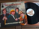 DOWNLINERS SECT LP / THE ROCK SECT'S IN -Mono 220 gram Munster Records