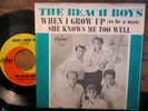 THE BEACH BOYS 