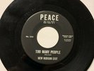 NEW HUDSON EXIT - TOO MANY PEOPLE - FANTASY DAY - OHIO SOUL RARITY