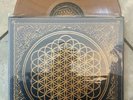 Bring Me The Horizon sempiternal vinyl LP 1st Press 2013 oop brown smoke