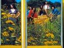 Prog Rock - Made In Germany - Made In Germany - D Reissue 2015 Mint (open) offen