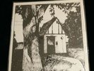 Naomi Lewis Cottage Songs 1975 Folk Psych rock Rare LP vinyl record EX SHRINK