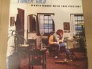 Andrew Gold-What’s Wrong With This Picture? 1976 US Vinyl White Label Promo