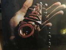 Kawaida - Albert Heath, James Mtume w/ Herbie Hancock, Don Cherry, Ed Blackwell