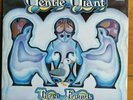 Gentle Giant 