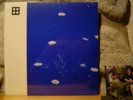 MERZBOW Flare Blues LP/1994/2021 Japan/Harsh Noise/Flare Gun/White Blues