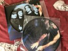Siouxsie and the banshees the scream picture disc LP